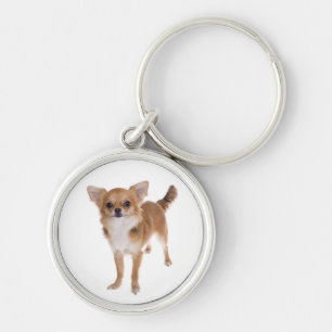 Llavero Llave Cadenita Perro Cachorro Chihuahua