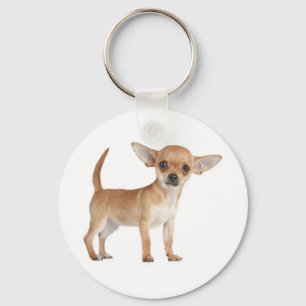 Llavero Llave Cadenita Perro Cachorro Chihuahua