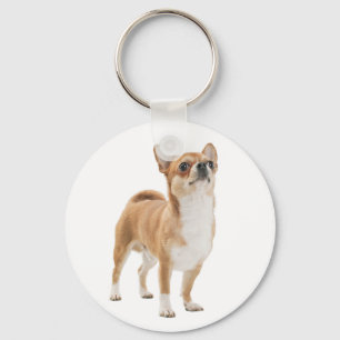 Llavero Llave Cadenita Perro Cachorro Chihuahua