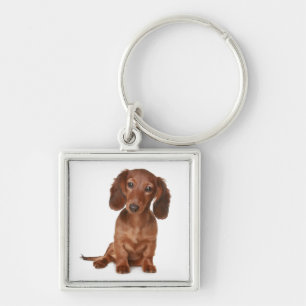 Llavero Llave Cadenita Perro Cachorro Dachshund