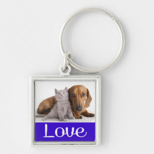 Llavero Llave Cadenita Perro Cachorro Dachshund Y Gatito