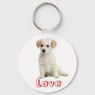 Llavero Llave Cadenita Perro Cachorro Retriever Dorado Amo