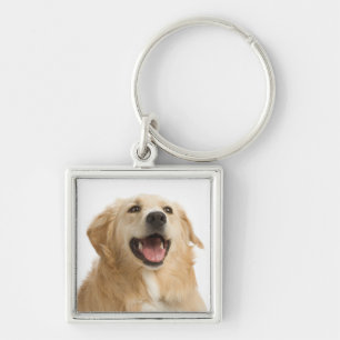 Llavero Llave Cadenita Perro Cachorro Retriever Dorado Amo