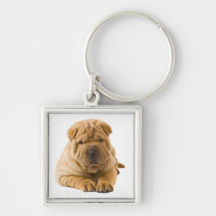 Llavero Llave de amor de cachorro Shar Pei chino