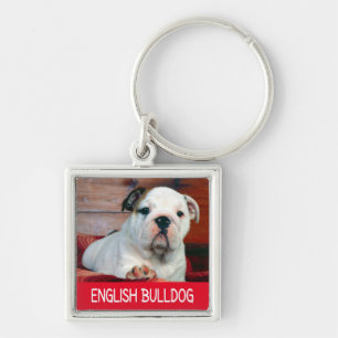Llavero Llave de cadena con cachorro de Bulldog inglés
