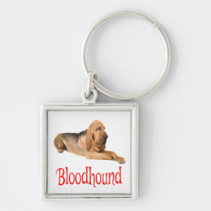 Llavero Llave de Caniche de Sabueso de Sangre Perro Canino