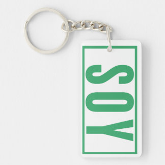 Llavero Llave de casa del recordatorio diario