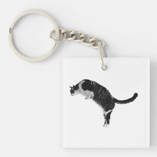Llavero Llave de gato amigable