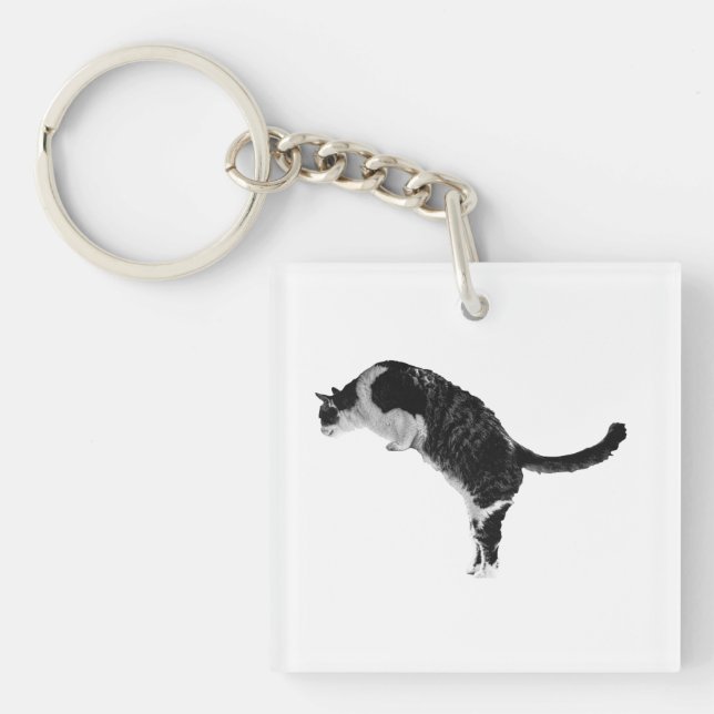 Llavero Llave de gato amigable (Frente)