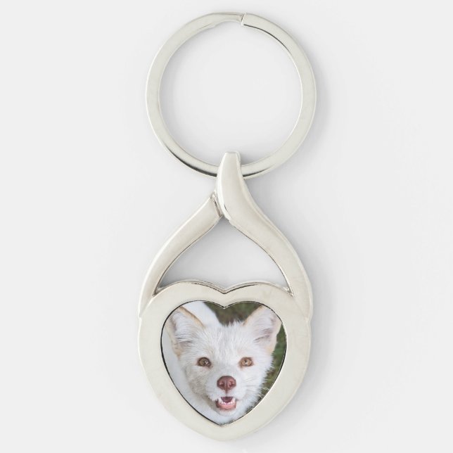 Llavero Llave metálica de coco Wild Paws (Anverso)