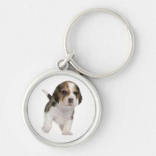 Llavero Llave personalizada con cachorro de Beagle amoroso