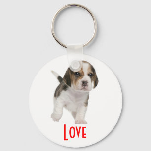 Llavero Llave personalizada con cachorro de Beagle amoroso