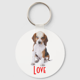Llavero Llave personalizada con cachorro de Beagle amoroso