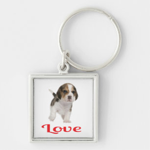 Llavero Llave personalizada de perro cachorro Beagle de am