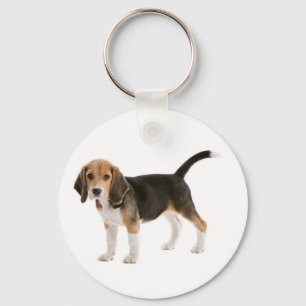 Llavero Llave personalizada de perro cachorro Beagle de am