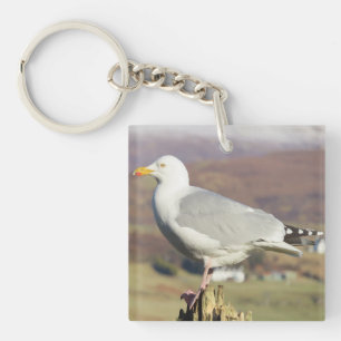 Llavero Llaveero de Gaviota Elegante Única en Posición Erg