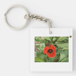 Llavero Llaveero de Tulipán Rojo