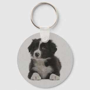 Llavero Llaveiro de Perro Cachorro Border Collie Azul Amor