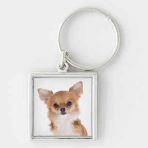 Llavero Llaveiro de Perro Cachorro Chihuahua Amor