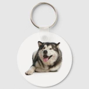 Llavero Llaveiro de perro cachorro Malamute de Alaska