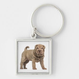 Llavero Llaveiro de perro cachorro Shar Pei chino