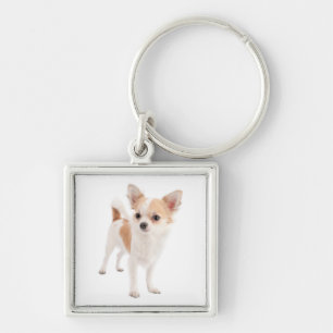 Llavero Llaveiro de perro Chihuahua cachorro