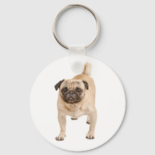 Llavero Llaveiro de perro pug adorable