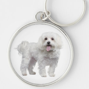 Llavero Llaverero personalizado de cachorro de perro malté