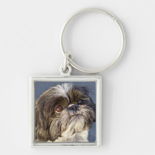 Llavero Llaverero Premium de Cachorro Shih Tzu