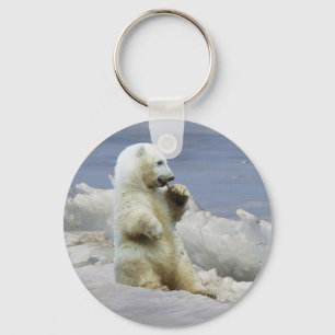 Llavero Llaverito de Oso Polar Adorable y Hielo Ártico