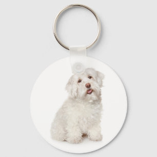 Llavero Llaverito personalizado de cachorro de raza maltes