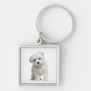 Llavero Llaverito personalizado de cachorro de raza maltes