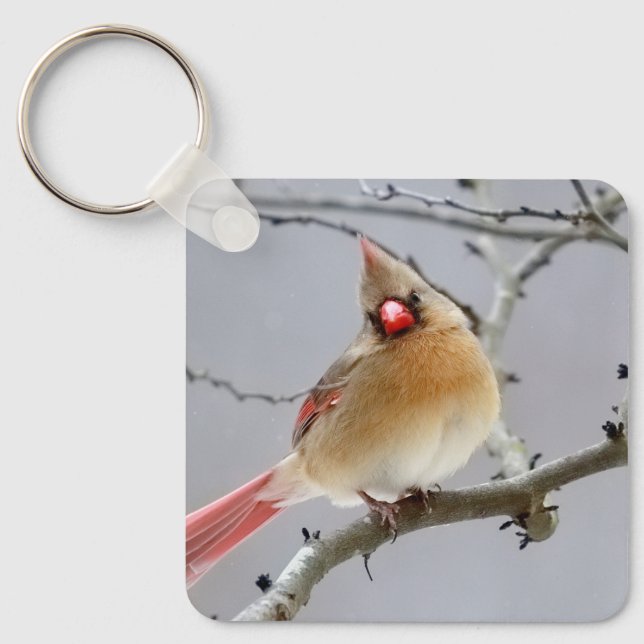Llavero Llavero_cardinal (Anverso)