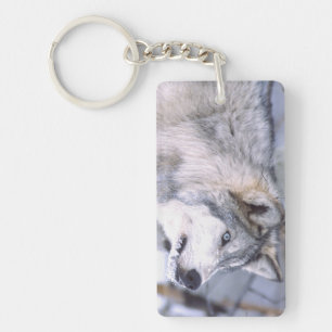 Llavero Lobo de madera, Canis lupus, animal de película Ut