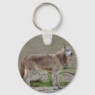 Llavero lobo gris-12