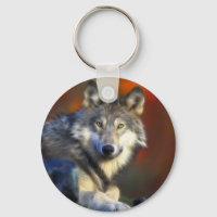 Lobo gris, fotografía digital de especies en pelig