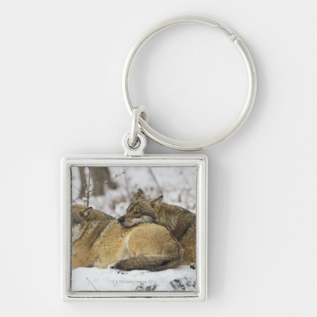 Llavero Lobos en la madera de Bawarian (Frente)