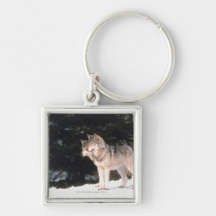 Llavero Lobos grises