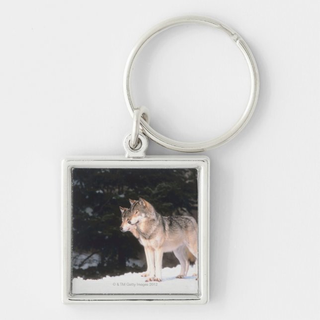 Llavero Lobos grises (Frente)