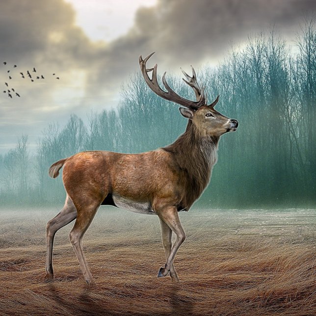 Llavero Lone Deer In Misty Forest (Subido por el creador)