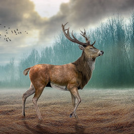 Llavero Lone Deer In Misty Forest
