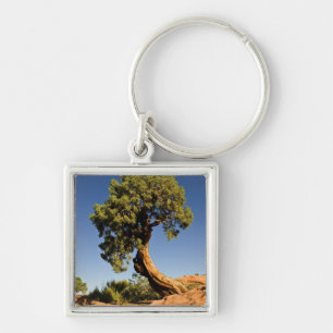 Llavero Lonesome Cedar, Parque Estatal Deadhorse Point,