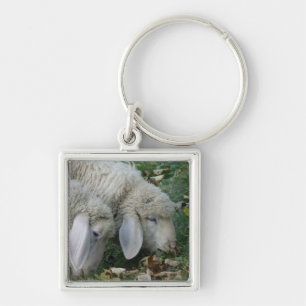 Llavero Lop-Eared Alpine Sheep Keychain