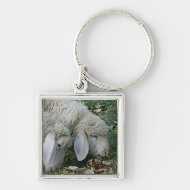 Llavero Lop-Eared Alpine Sheep Keychain (Frente)