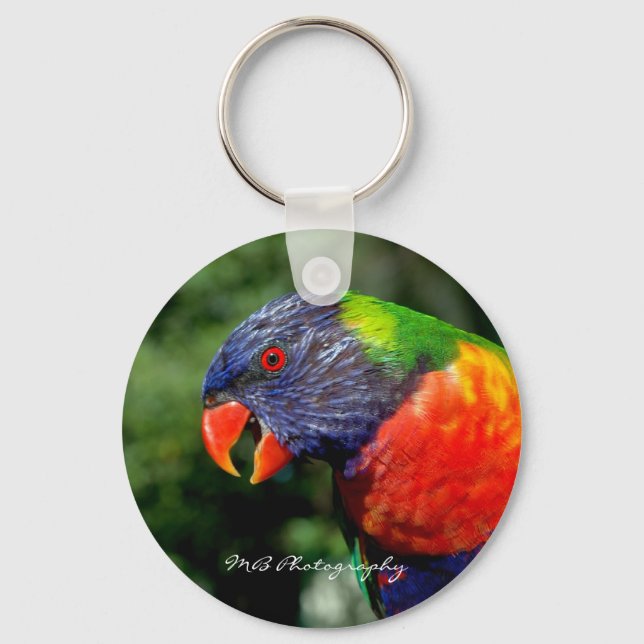 Llavero Lorikeet Keychain (Anverso)