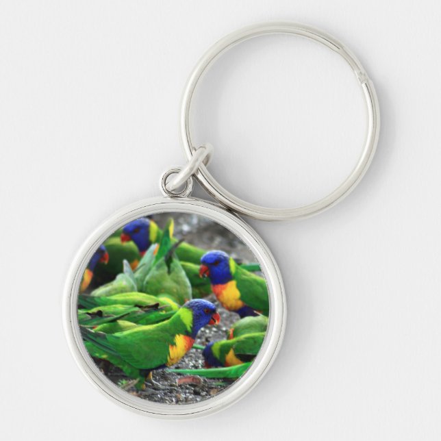Llavero Lorikeets del arcoiris australiano (Frente)