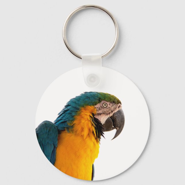 Llavero Loro  (Anverso)