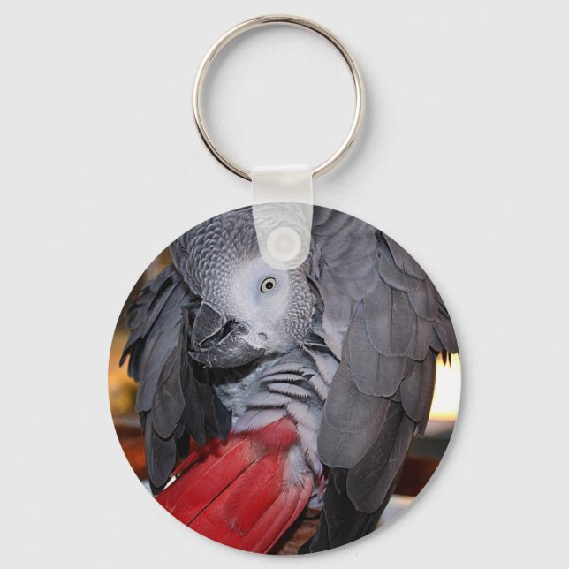 Llavero Loro gris africano flexible del Congo con cola roj (Anverso)