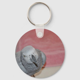 Llavero Loro gris rosado y gris africano