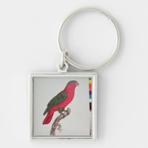 Llavero Loro: Lory o agarrado
